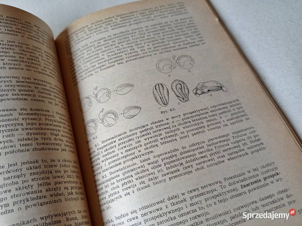 Podręcznik Embriologia Człowieka wyd 1982 SUPER Sosnowiec