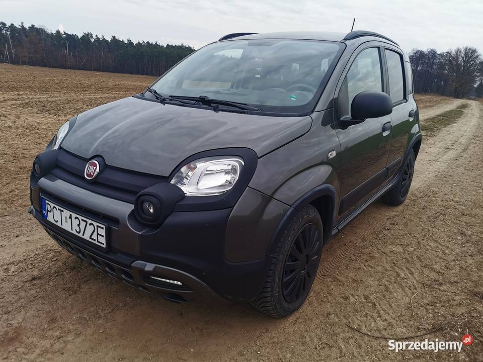 Fiat Panda Cross wielofunkcyjna kierownica Czarnków