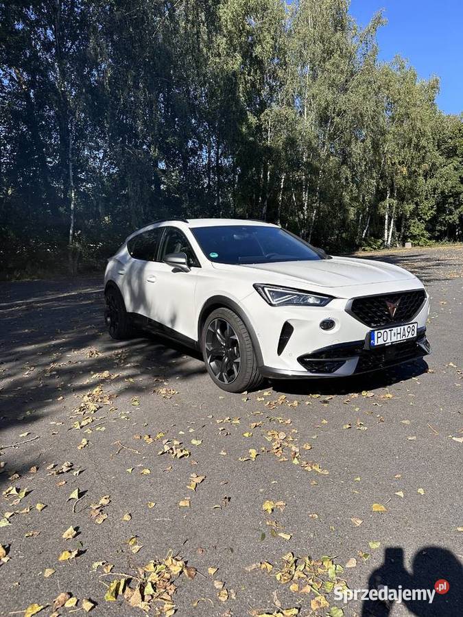 Cupra Formentor VZ 310 4x4 Grabów nad Prosną