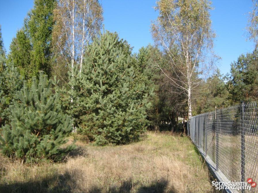 działke Karolino Serock Karolino sprzedam