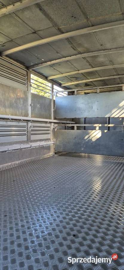 Man 12192 do przewozu bydła zwierząt żywca koni Rok produkcji 1996 Suwałki