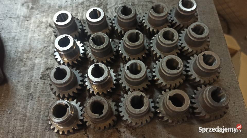 koła zębate skośne do głowic wielowrzecionowych Kłodawa sprzedam