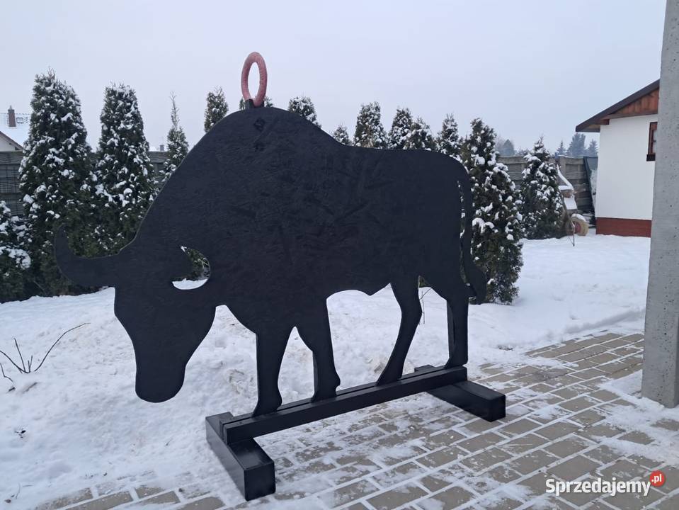 Byk przeszkody horse agility Biskupice