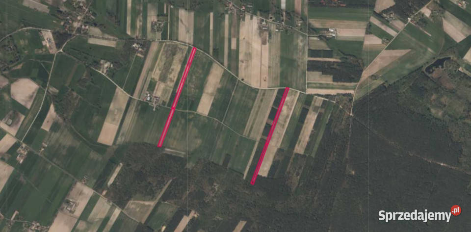 Grunt sprzedam 27200m2 Wierzbowa Nieruchomości