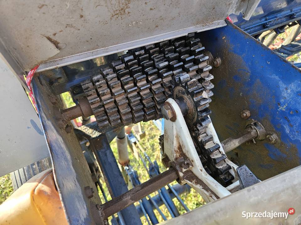 Siewnik zbożowy fiona 25m Skupie sprzedam