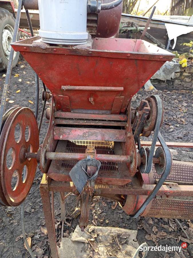 tryjel wialnia Dąbie