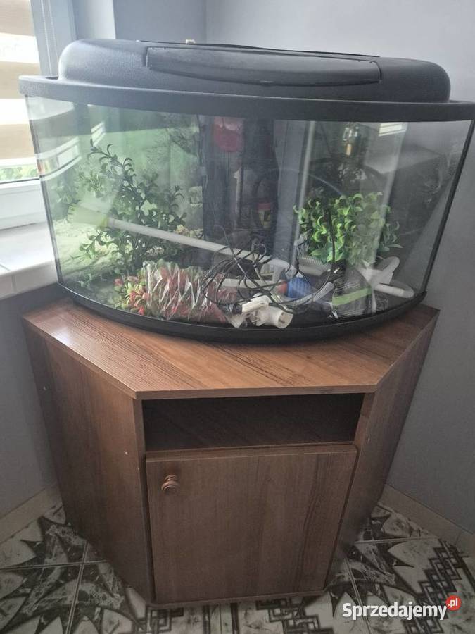 Akwarium rogowe 80l Białystok