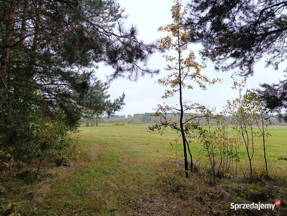 Działka budowlana pod osiedle 29400m2 Piaski gm sprzedam