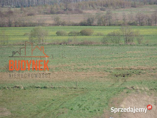 Działka rolna Karsino Sprzedaż