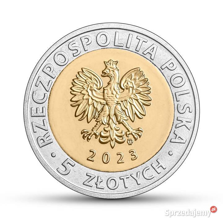 5 2023 r GościkowoParadyż pocysterski zespół