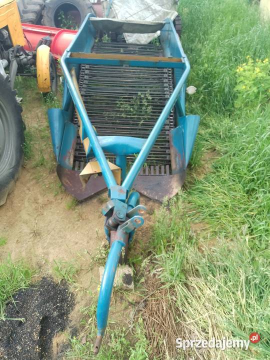 Kopaczka dwurzędowa Dąbrowa Tarnowska