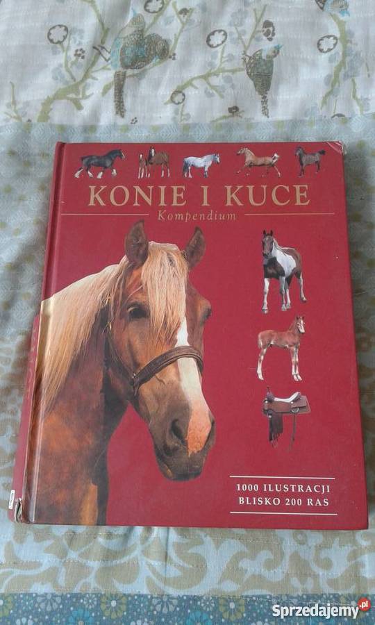 Konie i kuce Kompedium śląskie Jastrzębie-Zdrój