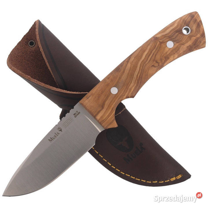 Nóż Muela Full Tang Olive Wood Satin 14116 Warszawa sprzedam