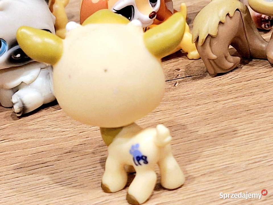 Koziołek koza Littlest Pet Shop Braniewo
