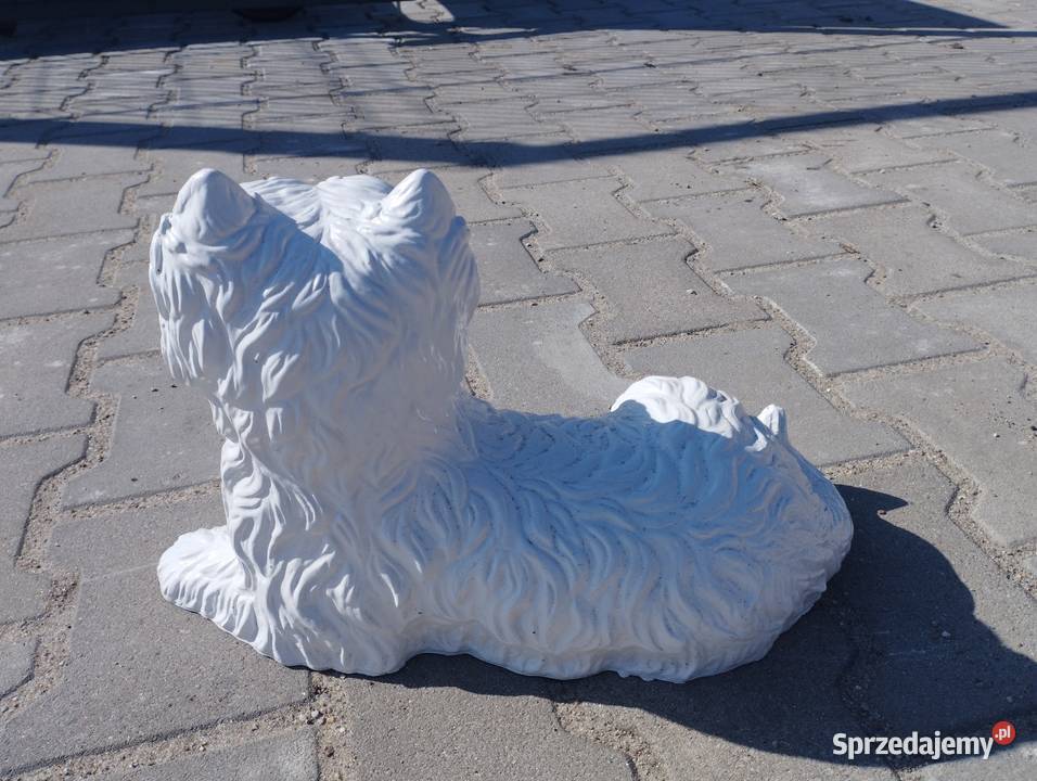 Figurka ogrodowa psa rasy West Highland White Szamotuły