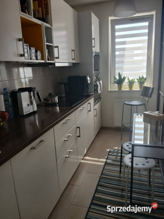 Mieszkanie 59m2 do wynajęcia Wincentego Danka Kraków