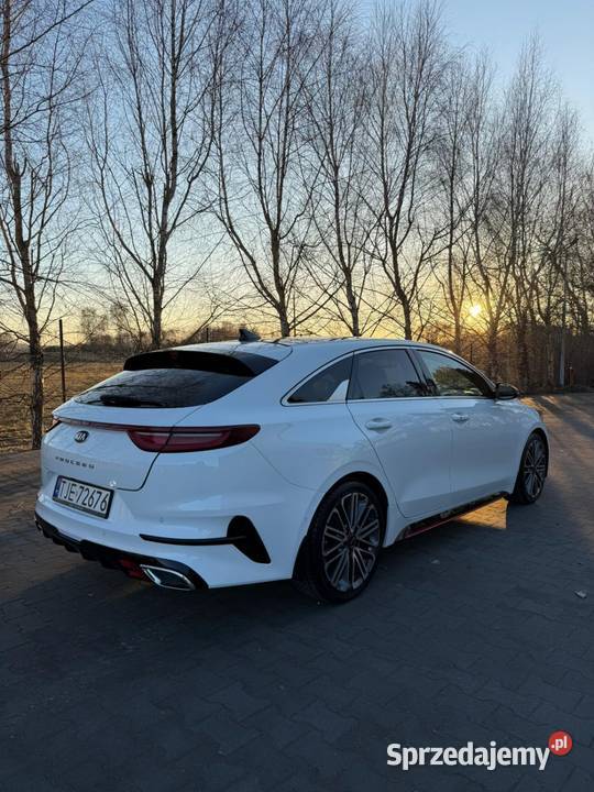 Kia proceed GT 16 204 2020 światła do jazdy dziennej Miąsowa sprzedam