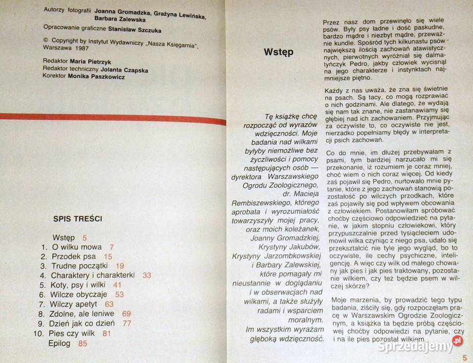 Pies czy wilk Krystyna Chwedeńczuk miękka Chełm