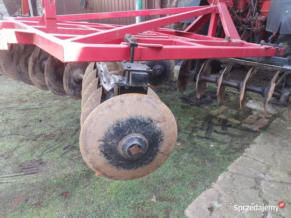 Brona talerzowa Brony Brzeg