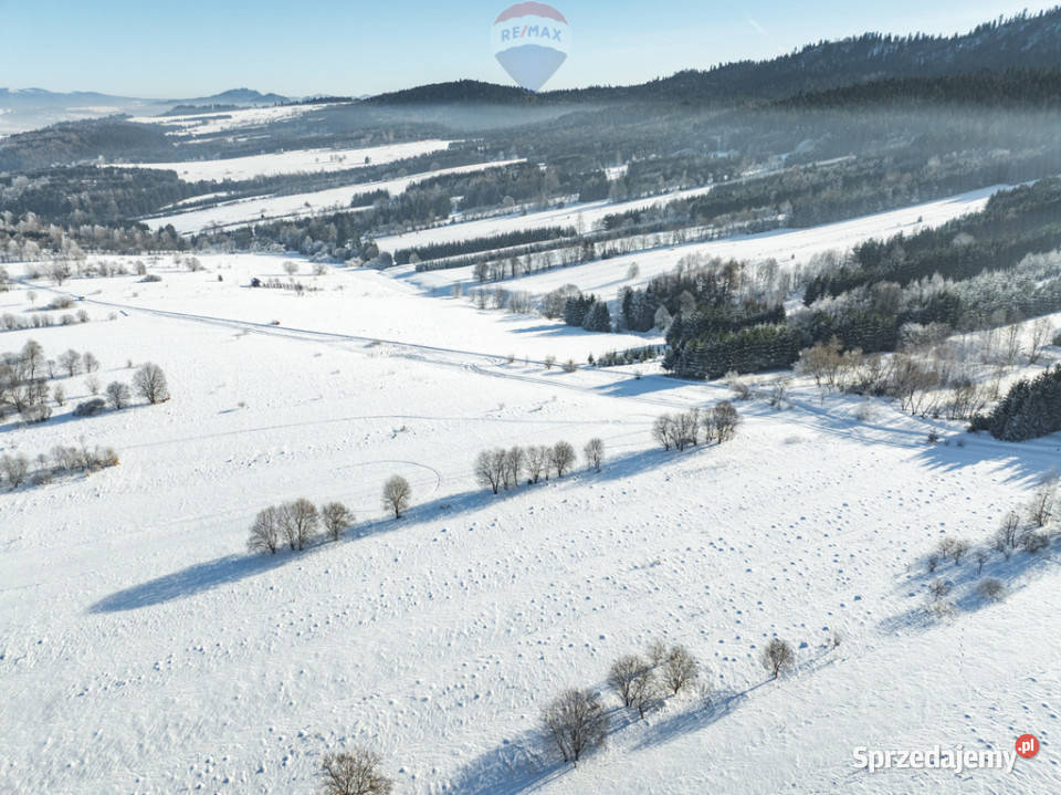 Pakiet działek w Frydmanie małopolskie