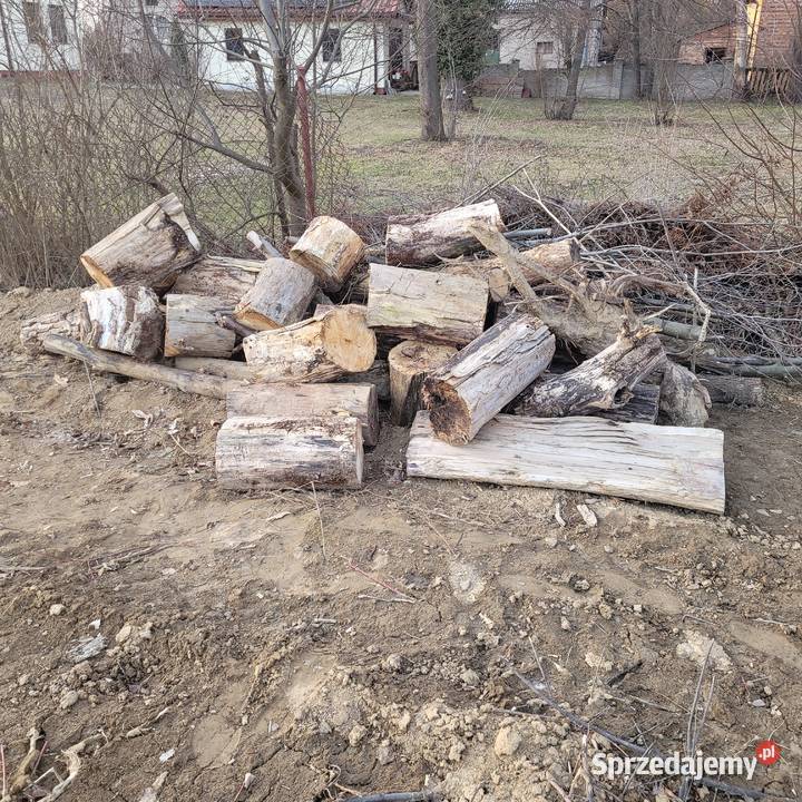 DREWNO SUCHE LIŚCIASTE OSIKA 12 mp 95 mp Warszawa