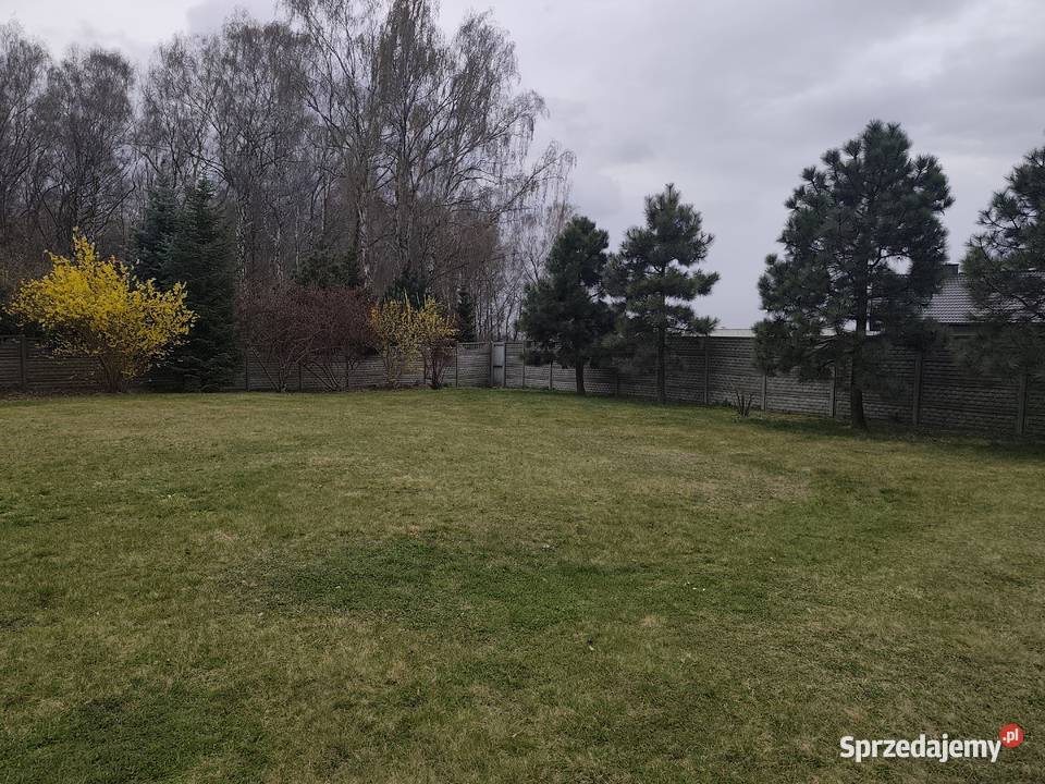 Działka 962 m Wojkowice ogrodzona równa lasu i