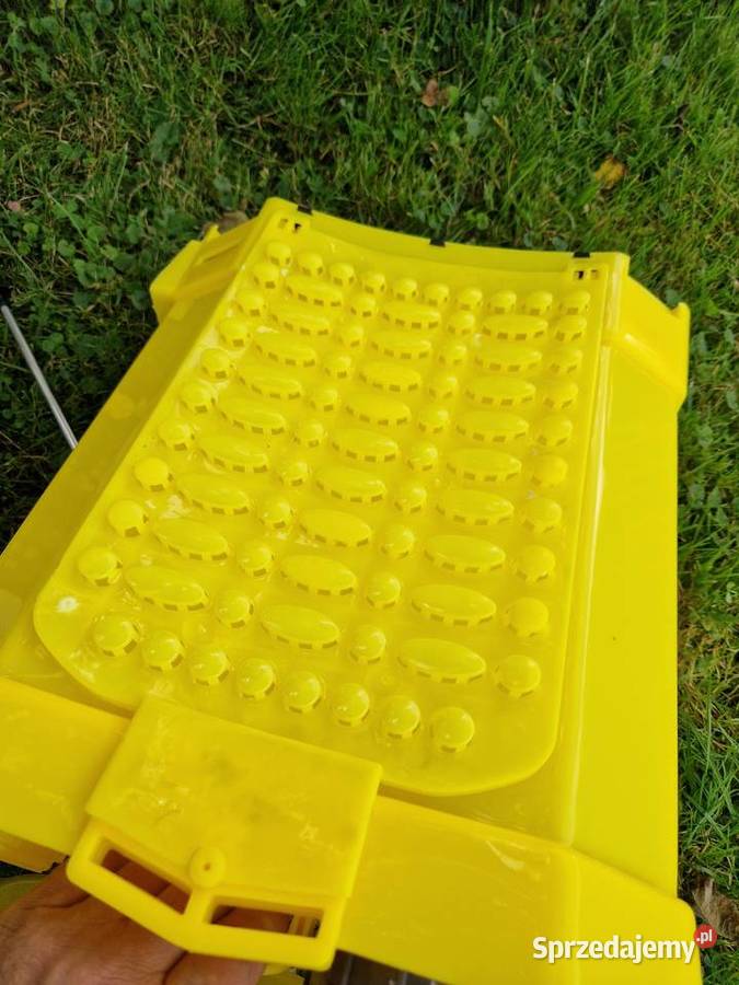 Mocny Opryskiwacz Ogrodowy Akumulatorowy 12L Głogowa