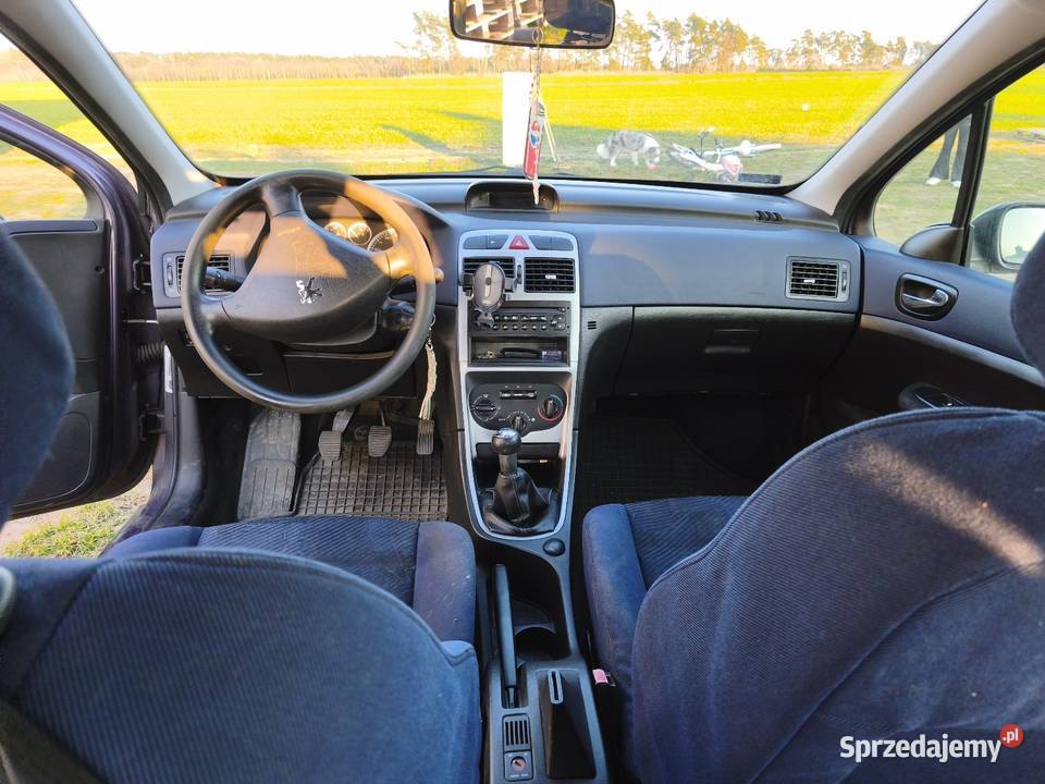 Peugeot 307 2003 16 benzyna 307 wielkopolskie Annapol sprzedam
