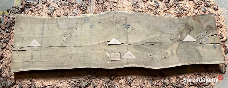 Monolity dębowe foszty deski na stół meble kujawsko-pomorskie Nakło nad Notecią