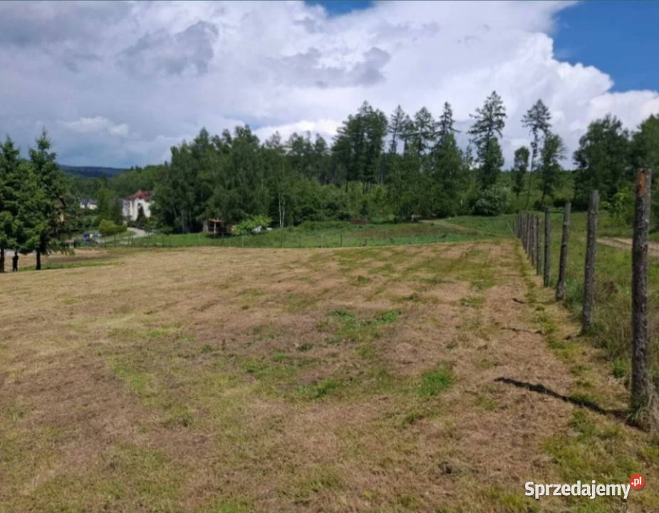 WIELORODZINNA działka Kudowa Zdrój pod Sprzedaż dolnośląskie Kudowa-Zdrój