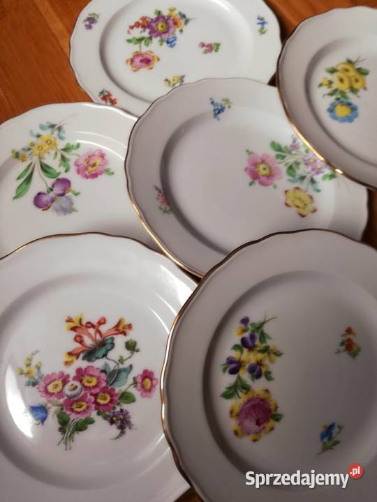 Porcelana Potschappel Dresden komplet 6 talerzy Ceramika i szkło Jastrzębie-Zdrój
