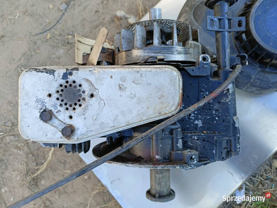 Silnik Briggs Stratton kosiarka 4t kosiarka Kosiarki spalinowe Konin
