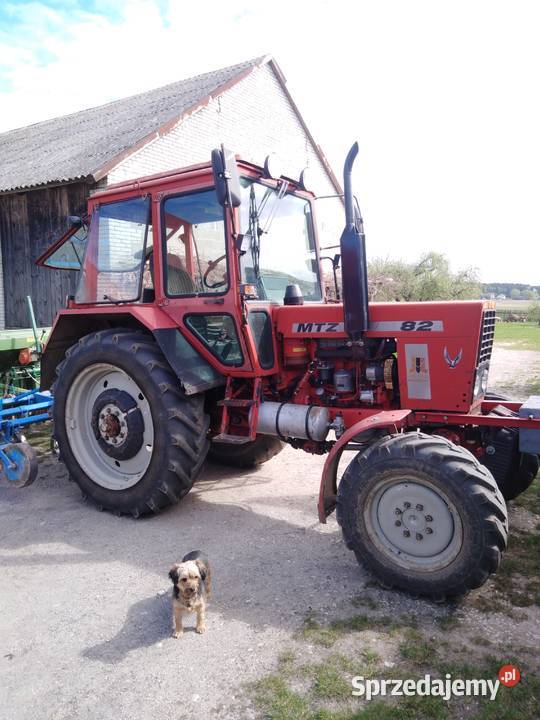 MTZ 82PronarBelarus Potok Rządowy sprzedam