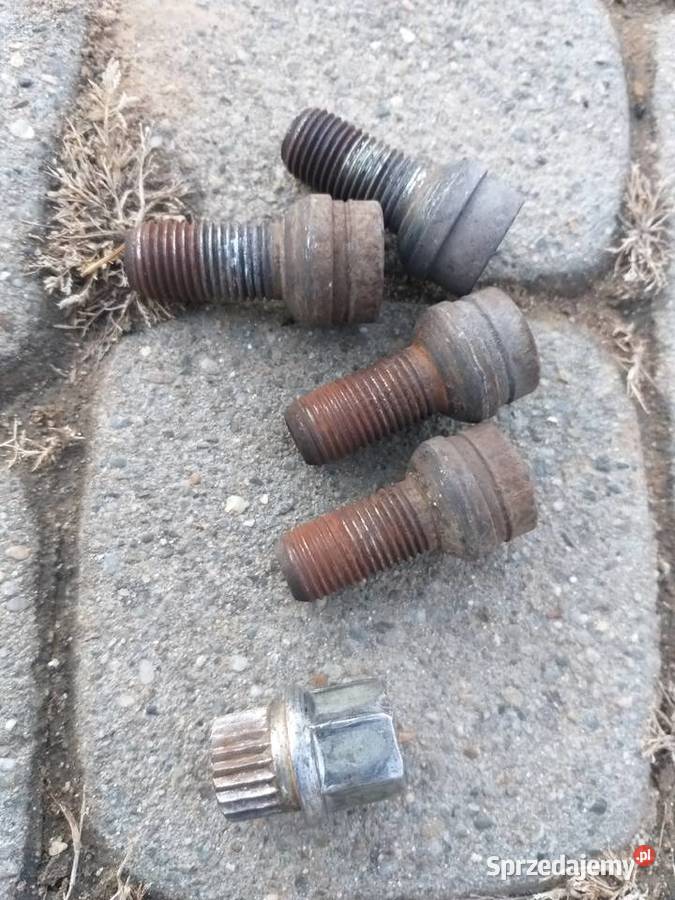 Szpilki antykradzieżowe podkarpackie