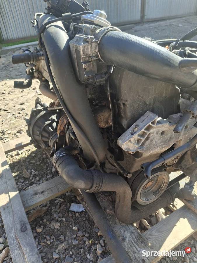 Silnik 19tdi z osprzętem i skrzynią świętokrzyskie