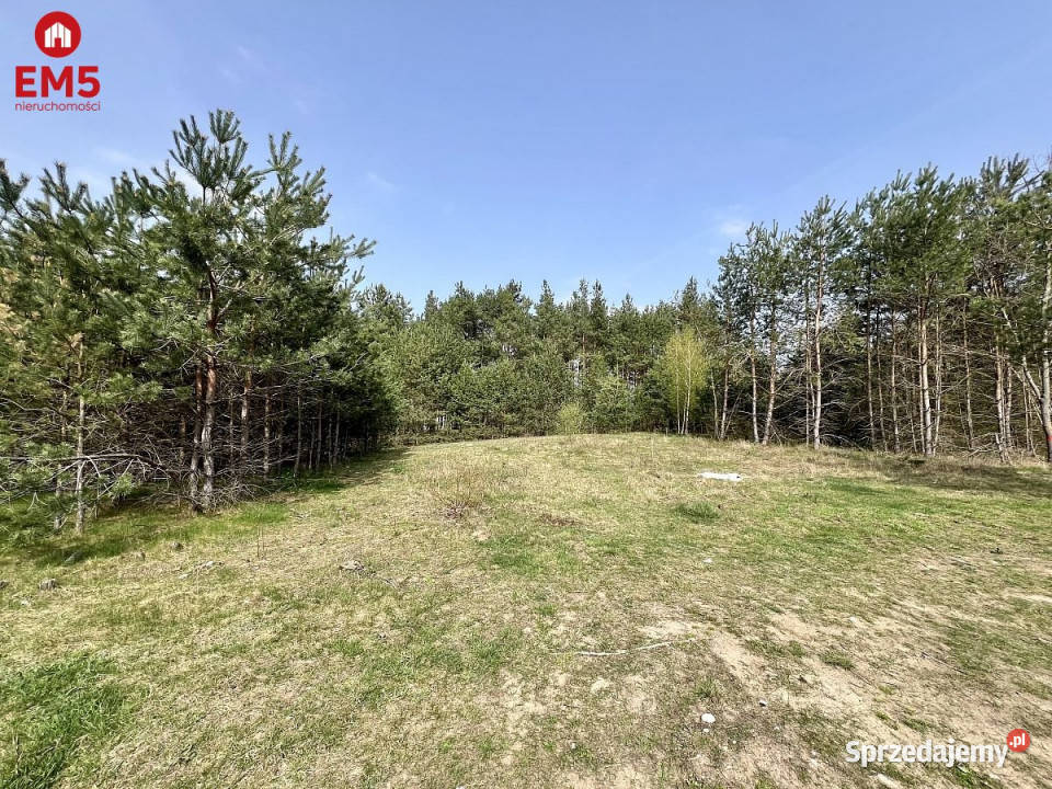 Grunt 962m2 Karakule polna