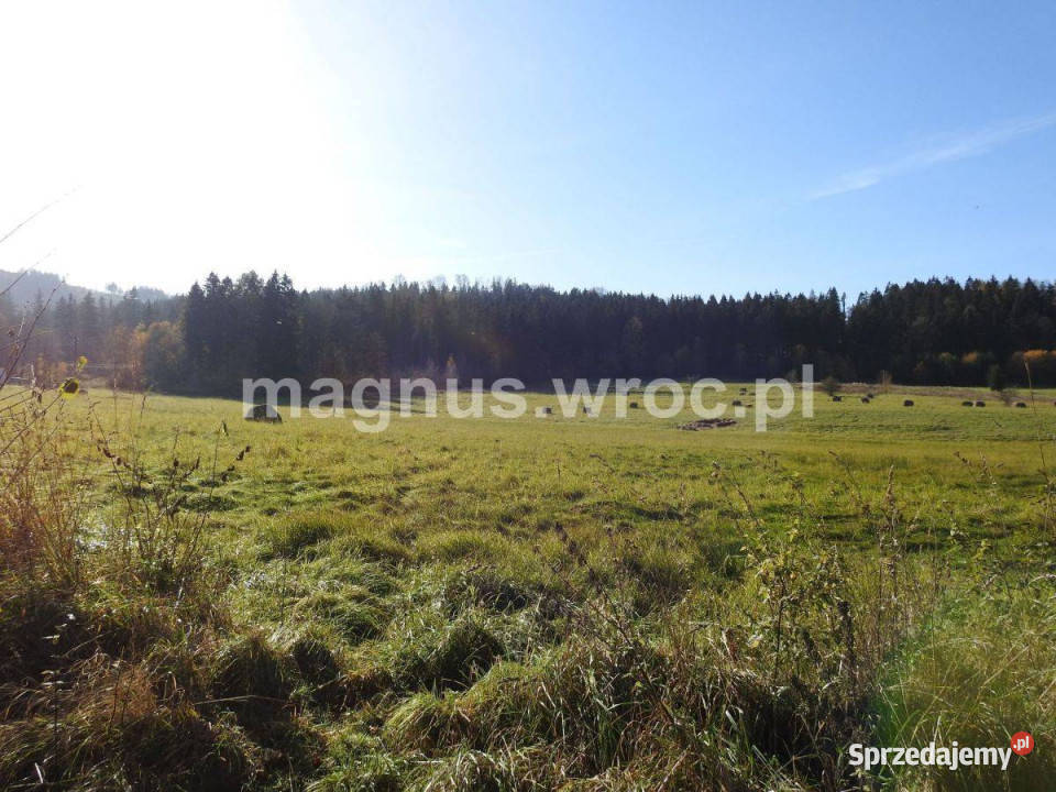 Działki pod agroturystykę pod lasem w 0m Boguszów-Gorce