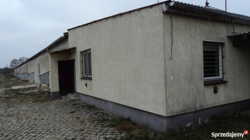 Sprzedam fermę Szlichtyngowa