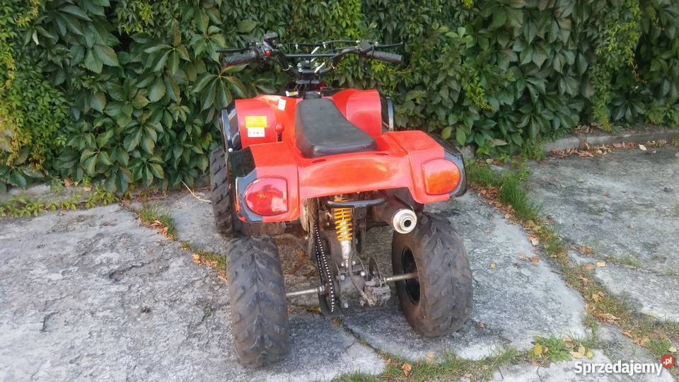 Quad chińczyk Bashan 110 bezwypadkowy Maciejowice