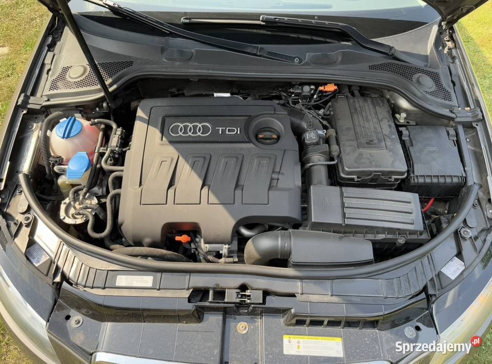 A3 Sportback16 TDInowe opony letnie bogate Zarejestrowany w Polsce Gadka
