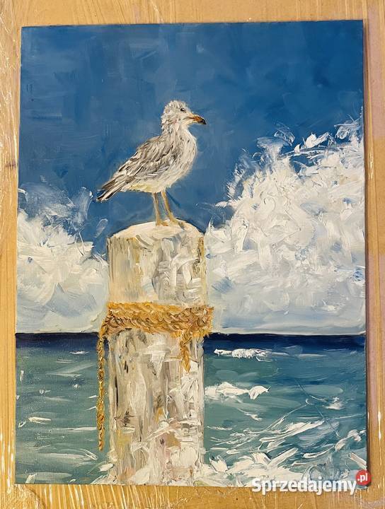 Mewa na krawędzi morskiego wiatru obraz olejny lubuskie Zielona Góra sprzedam