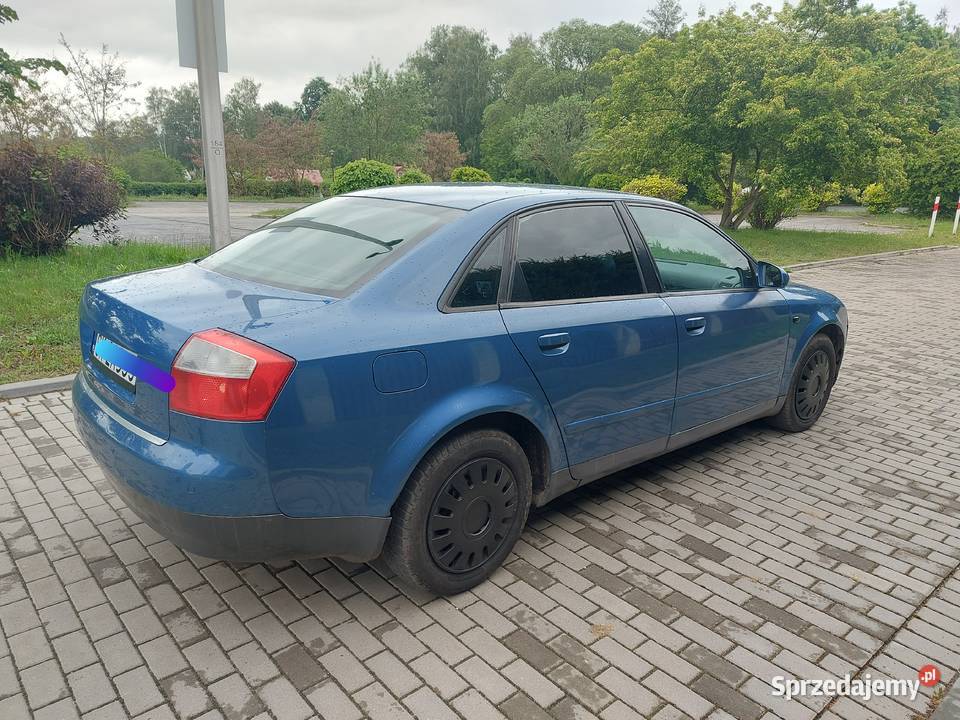 Audi a4 b6 19 Tdi nieuszkodzony opolskie Nysa sprzedam