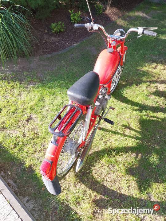 Komar 2352W