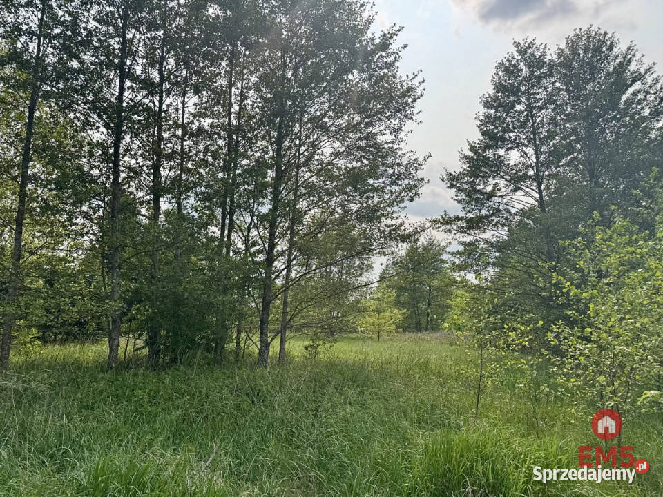 sprzedaży gruntu 2900m2 Kosmaty Borek podlaskie sprzedam