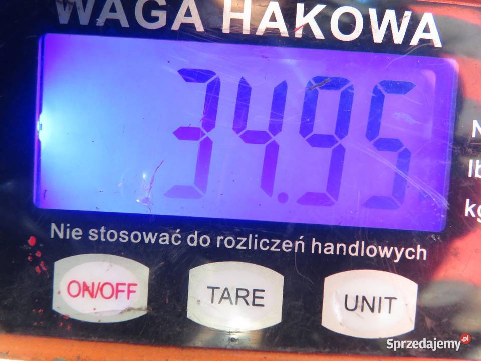 SANKI PRZÓD OPEL MOVANO B 2010 23 CDTI FWD M9T Belki zawieszenia małopolskie