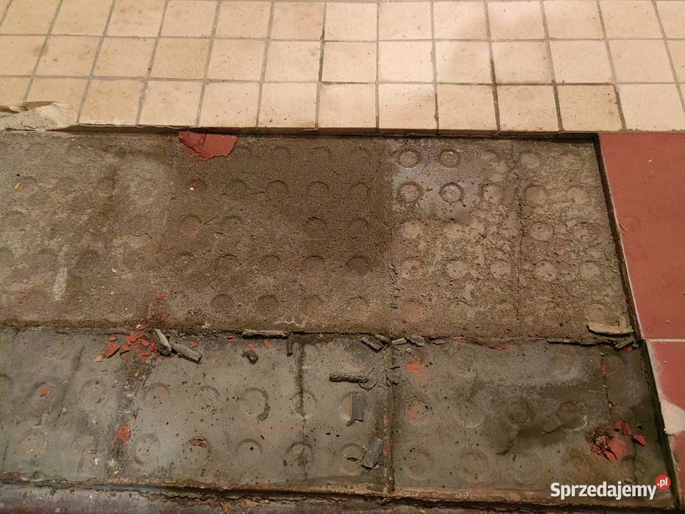 Osuszenie mokrej ściany wilgoć na ścianie mokra Pozostałe Wrocław