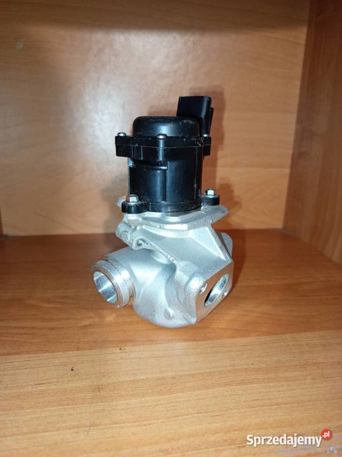 Zawór EGR Recyrkulacja spalin EGR Grójec