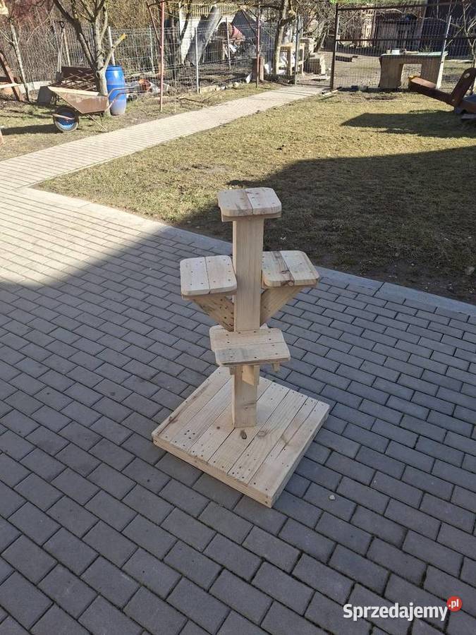 Kwietnik ogrodowy Kwietniki Kielce