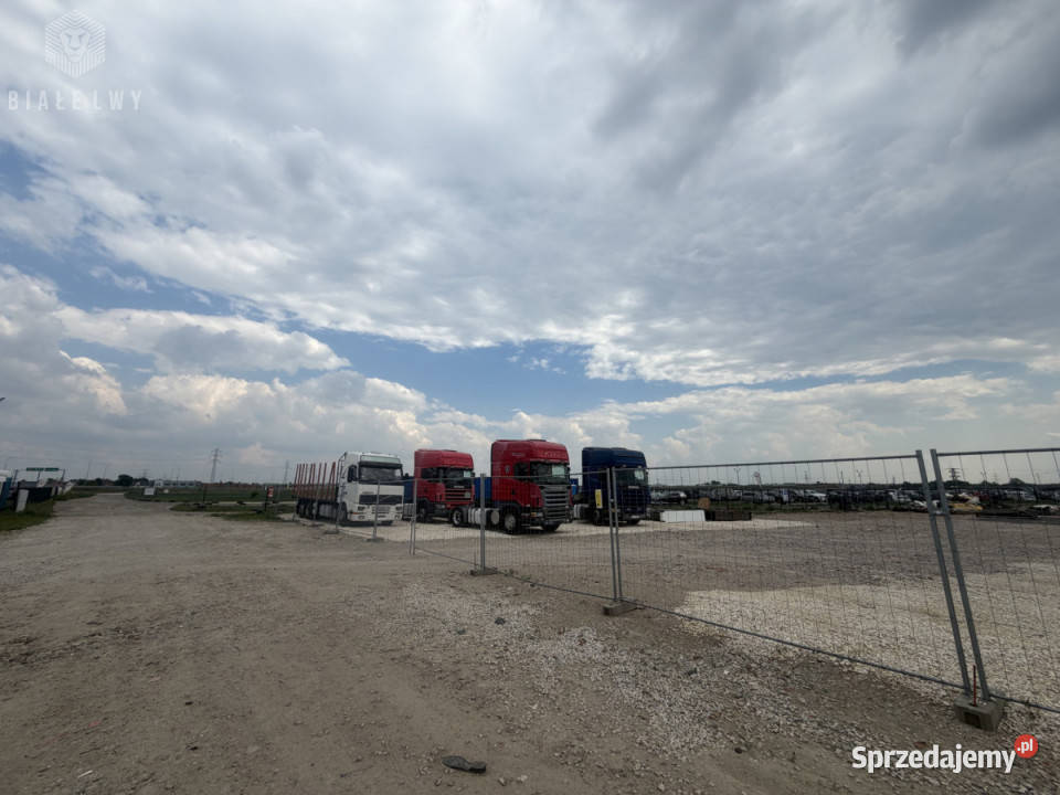 Działka Nowa Wola 3300m2 3300m2