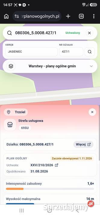 Działka Inwestycyjna 176 ha DK92 Ogrodzona Prąd Trzciel